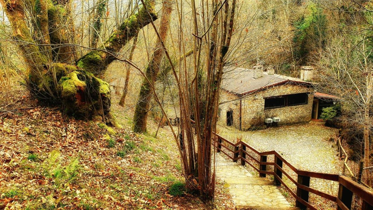 Hotel Rural La Tahona De Besnes 阿里纳斯·德·卡伯瑞勒斯 外观 照片
