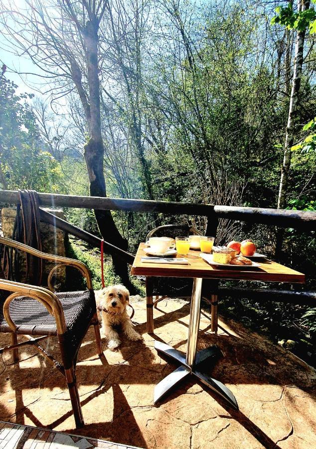 Hotel Rural La Tahona De Besnes 阿里纳斯·德·卡伯瑞勒斯 外观 照片